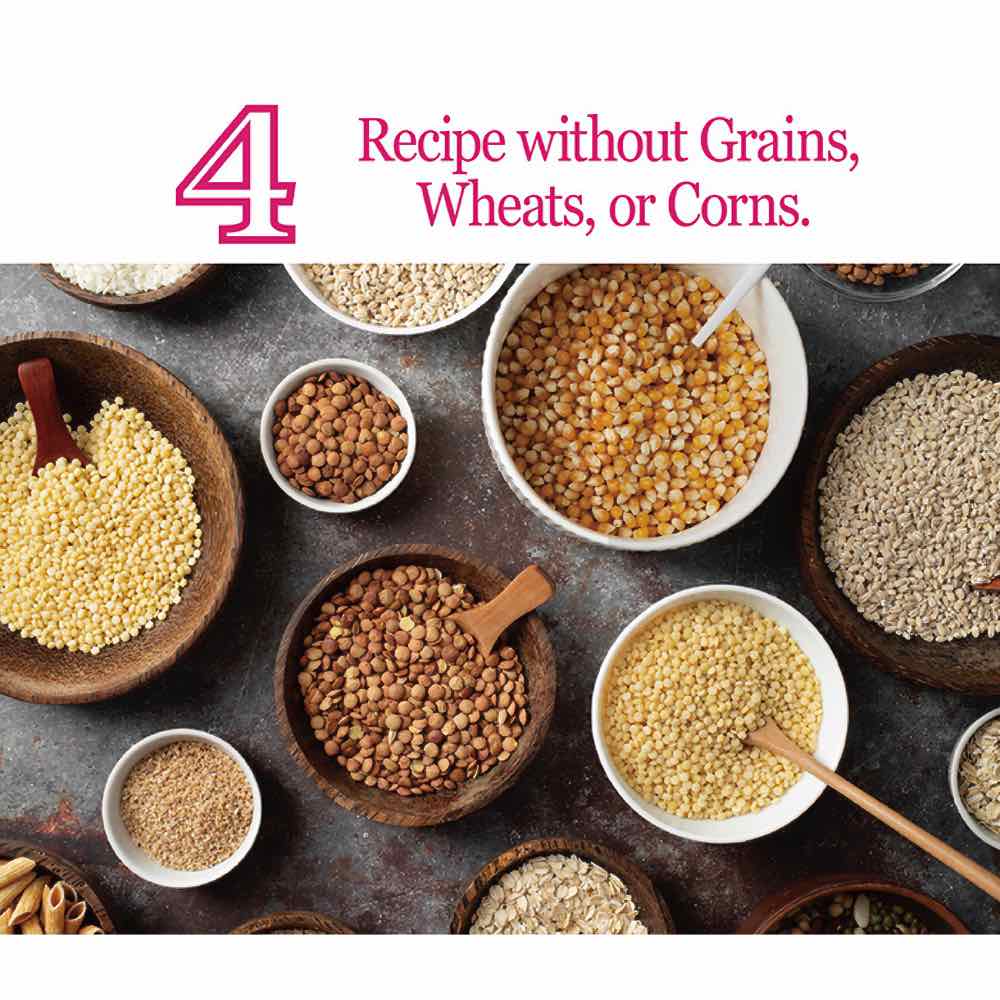 Natural Kitty Functional Skin & Coat Care Salmon Purée Creamy Liquid Cat Treats 48g