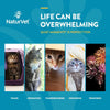 15% OFF: NaturVet Scoopables Quiet Moments Calming Aid Cat Supplement Chews 5.5oz