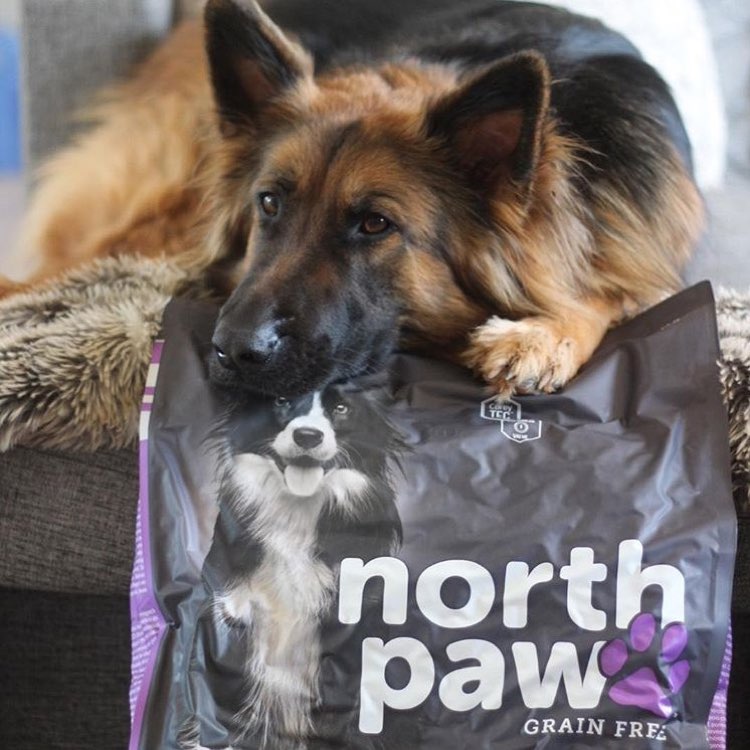 North Paw Dog Food