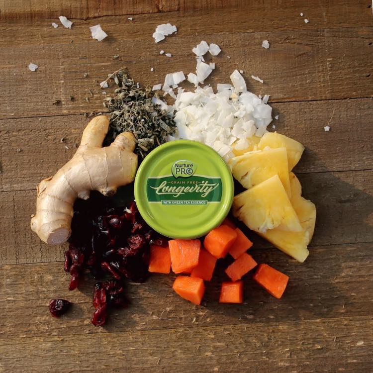 Nurture Pro Longevity Canned Cat Food