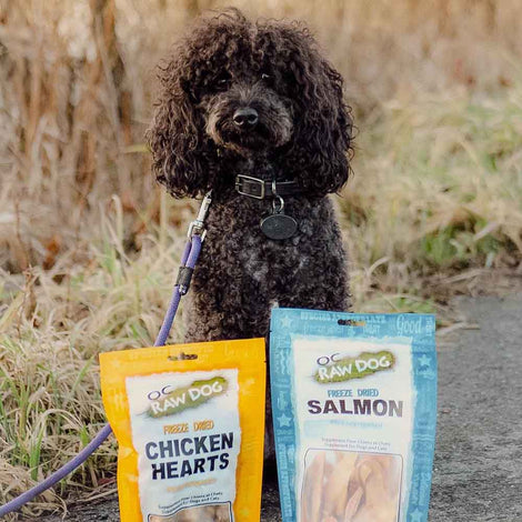 OC Raw Freeze-Dried Treats For Cats & Dogs — Wholesome, Mouth-Watering Single Ingredient Bites!
