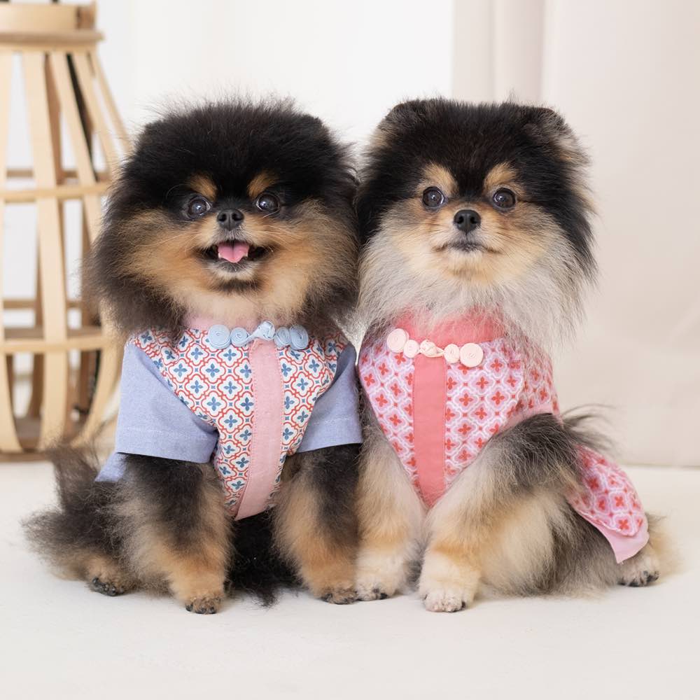 10% OFF "Size 2": Ohpopdog Dog Shirt (Aquamarine) - Kohepets