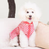 Ohpopdog Dog Dress (Ruby)