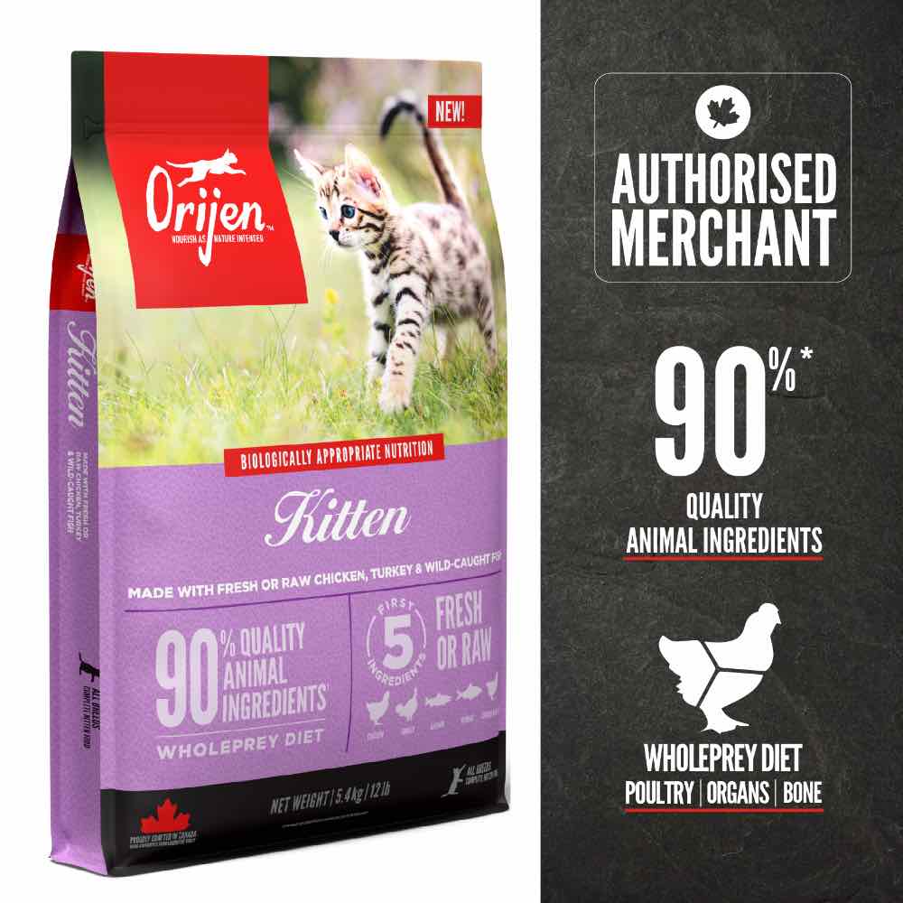 ORIJEN Kitten Grain-Free Dry Cat Food