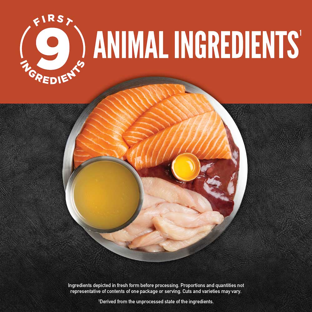 ORIJEN Chunks & Shreds Salmon & Chicken Entree In Bone Broth Canned Cat Food - Kohepets