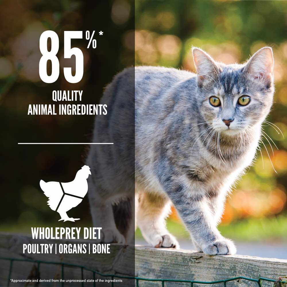 ORIJEN Original Adult Grain-Free Dry Cat Food