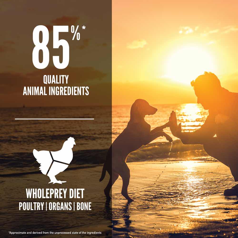 ORIJEN Puppy Grain-Free Dry Dog Food