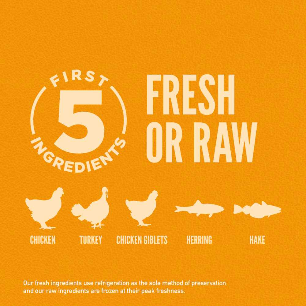 ORIJEN Puppy Grain-Free Dry Dog Food