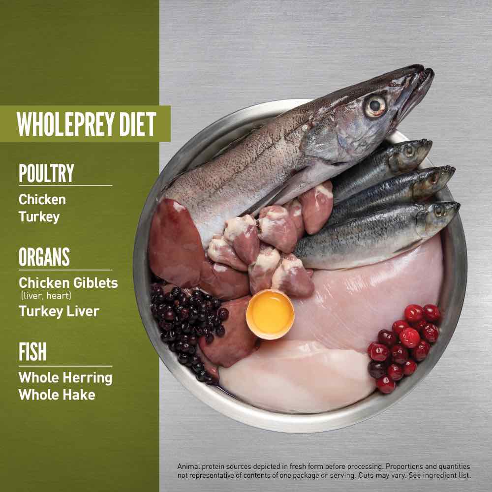 ORIJEN Senior Grain-Free Dry Dog Food | Kohepets