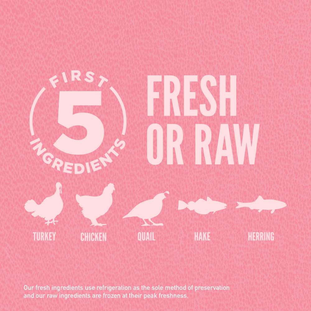 ORIJEN Small Breed Grain-Free Dry Dog Food