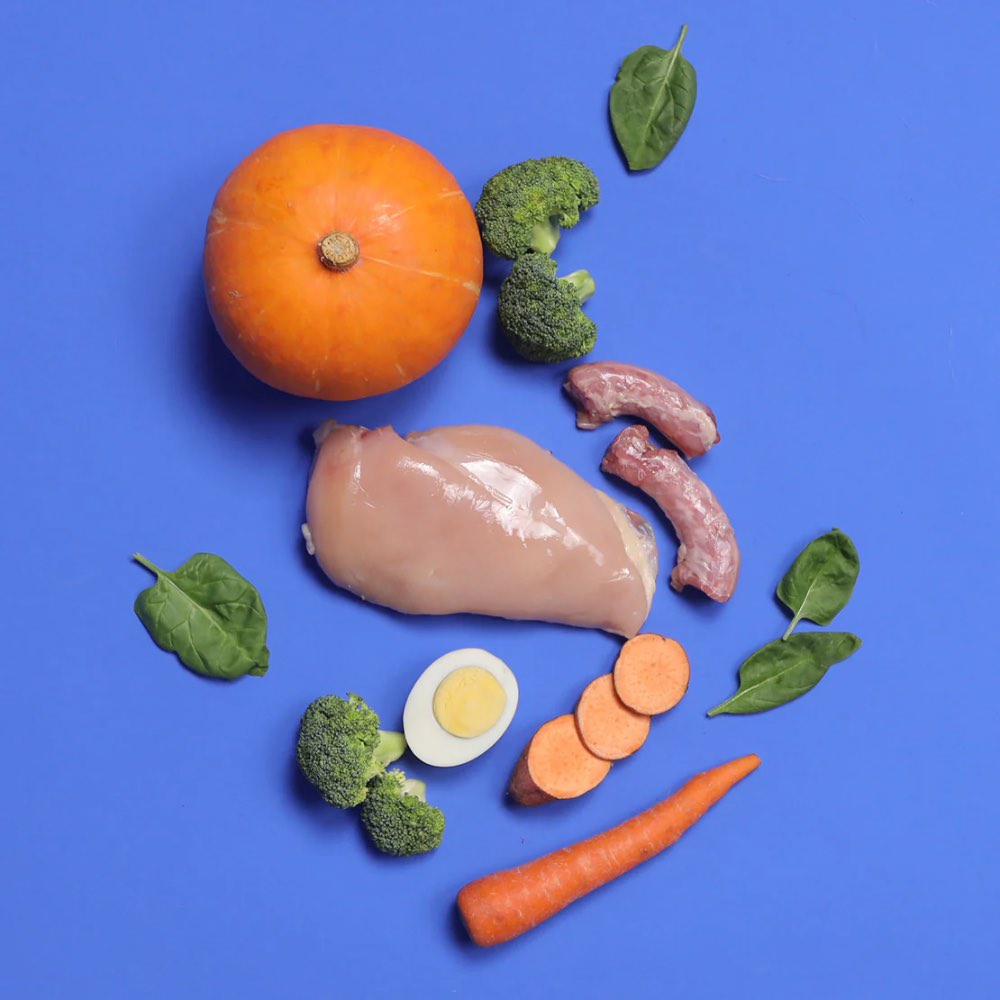 PetCubes Gently Cooked Chicken Grain-Free Frozen Dog Food 2.24kg