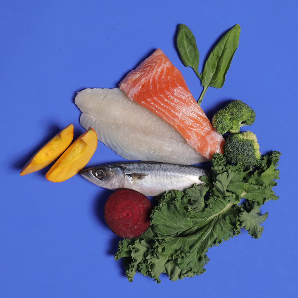 PetCubes Gently Cooked Salmon & Whitefish Grain-Free Frozen Dog Food 2.24kg - Kohepets