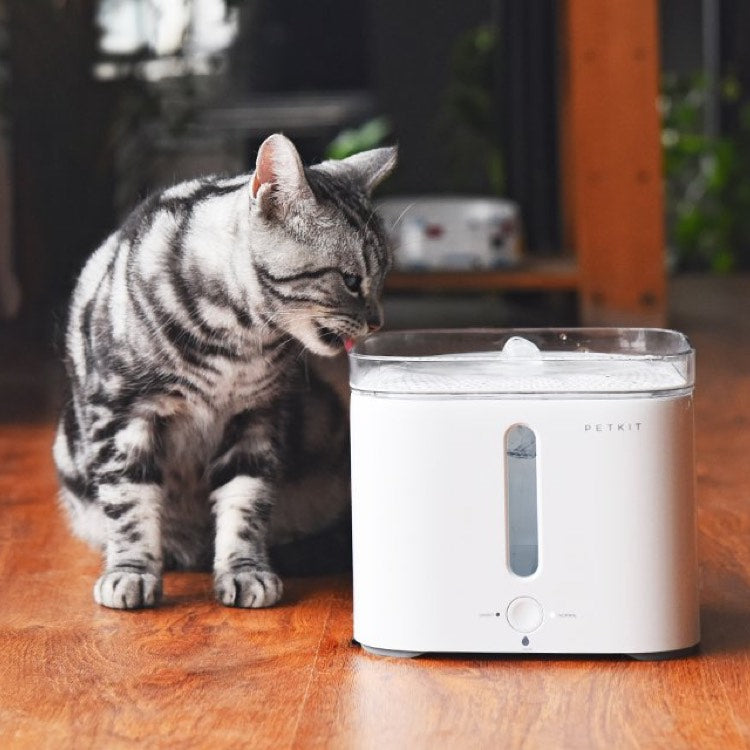 PETKIT - Eat & Drink