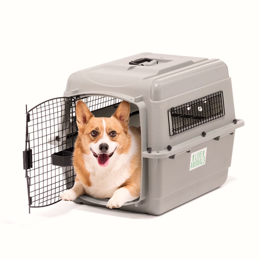 Petmate Sky Kennel IATA Approved Pet Carrier (Light Grey)