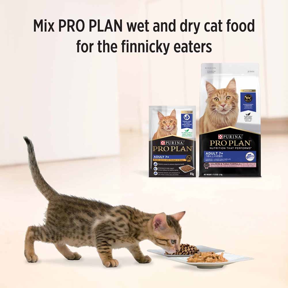 Pro Plan Chicken In Gravy Adult 7+ Pouch Cat Food 85g x 12 (Exp 30 Apr 2026)