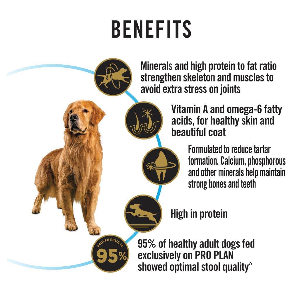 Pro Plan Essential Health Joint & Mobility Large Adult Dry Dog Food 15kg