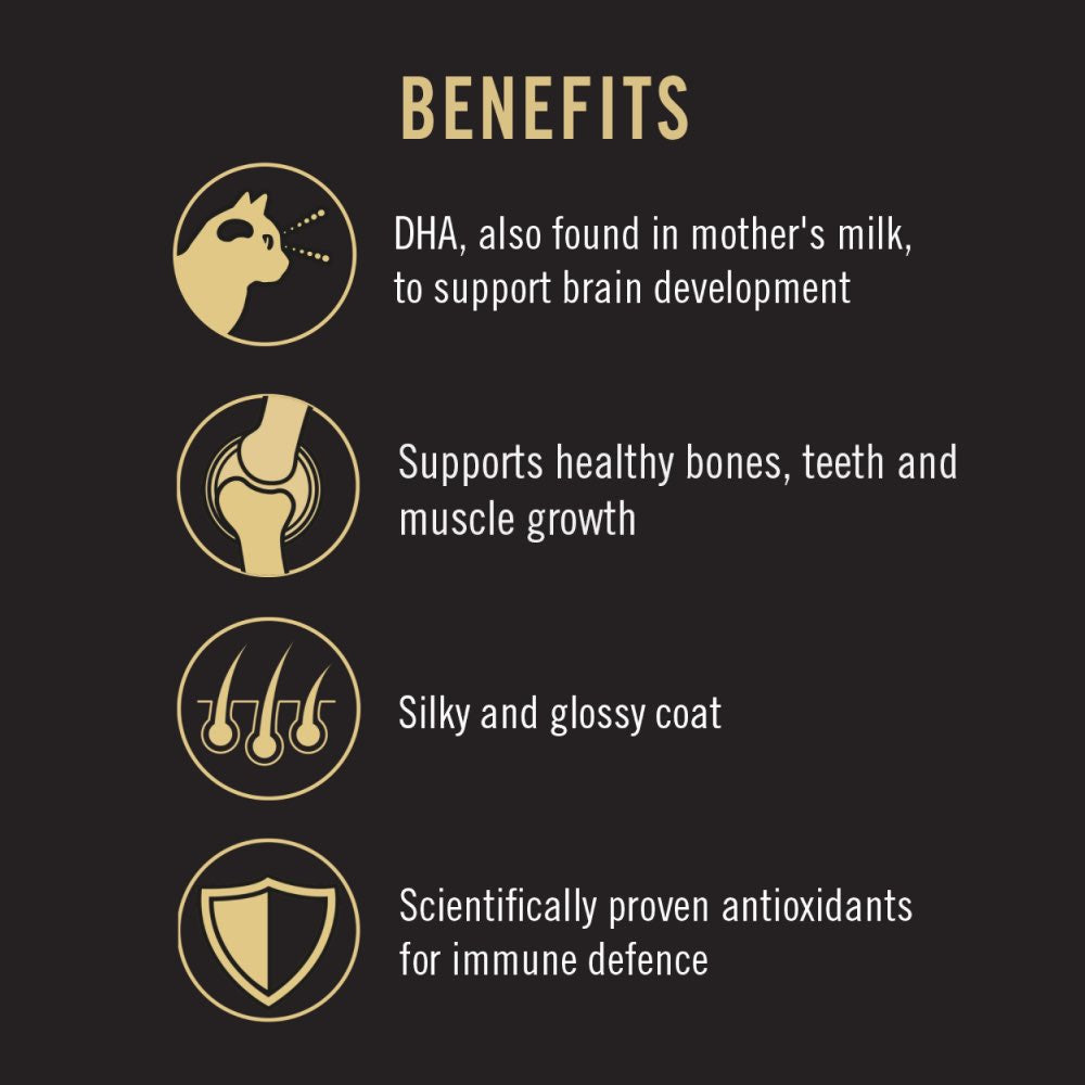 Pro Plan Kitten Chicken Dry Cat Food