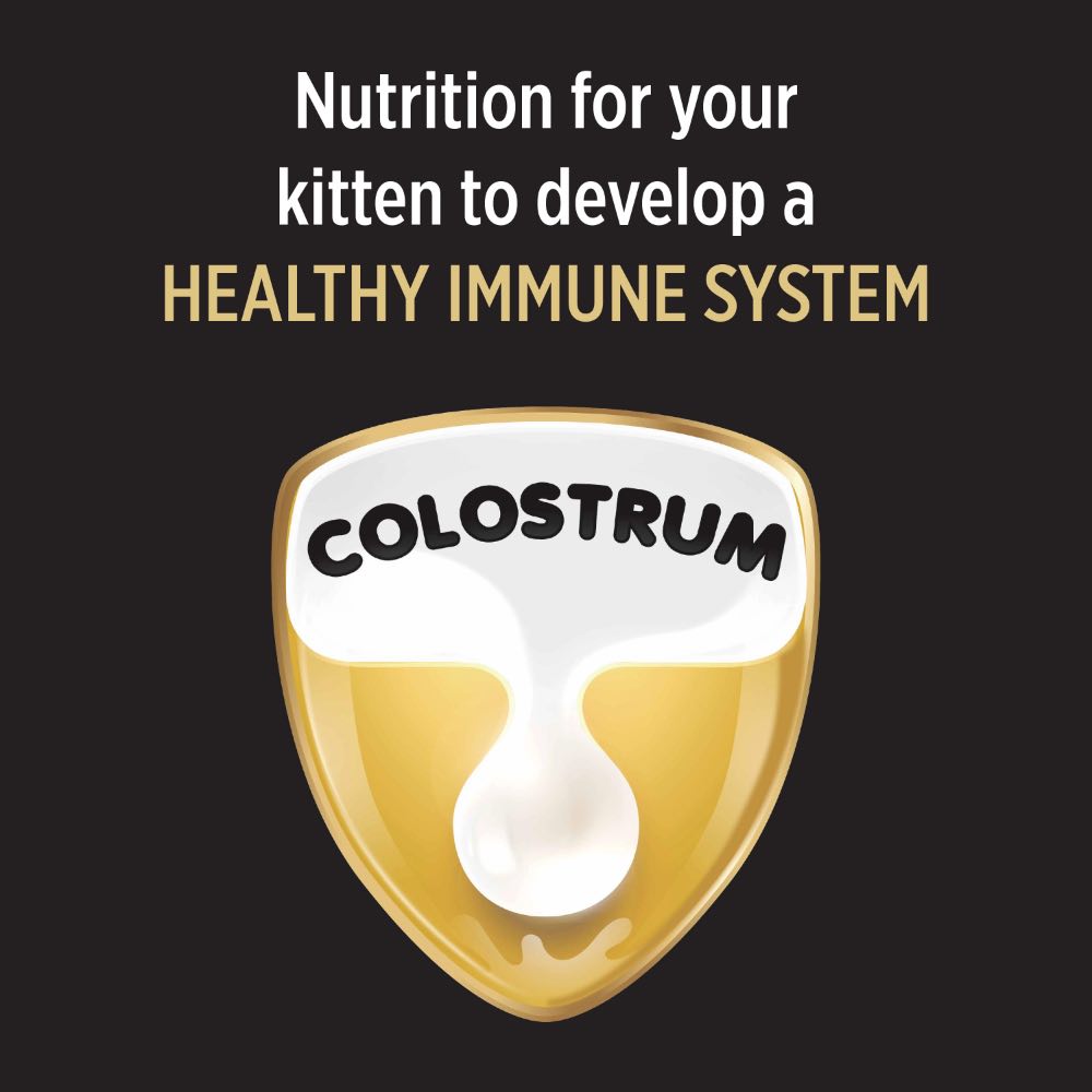 Pro Plan Kitten Chicken Dry Cat Food