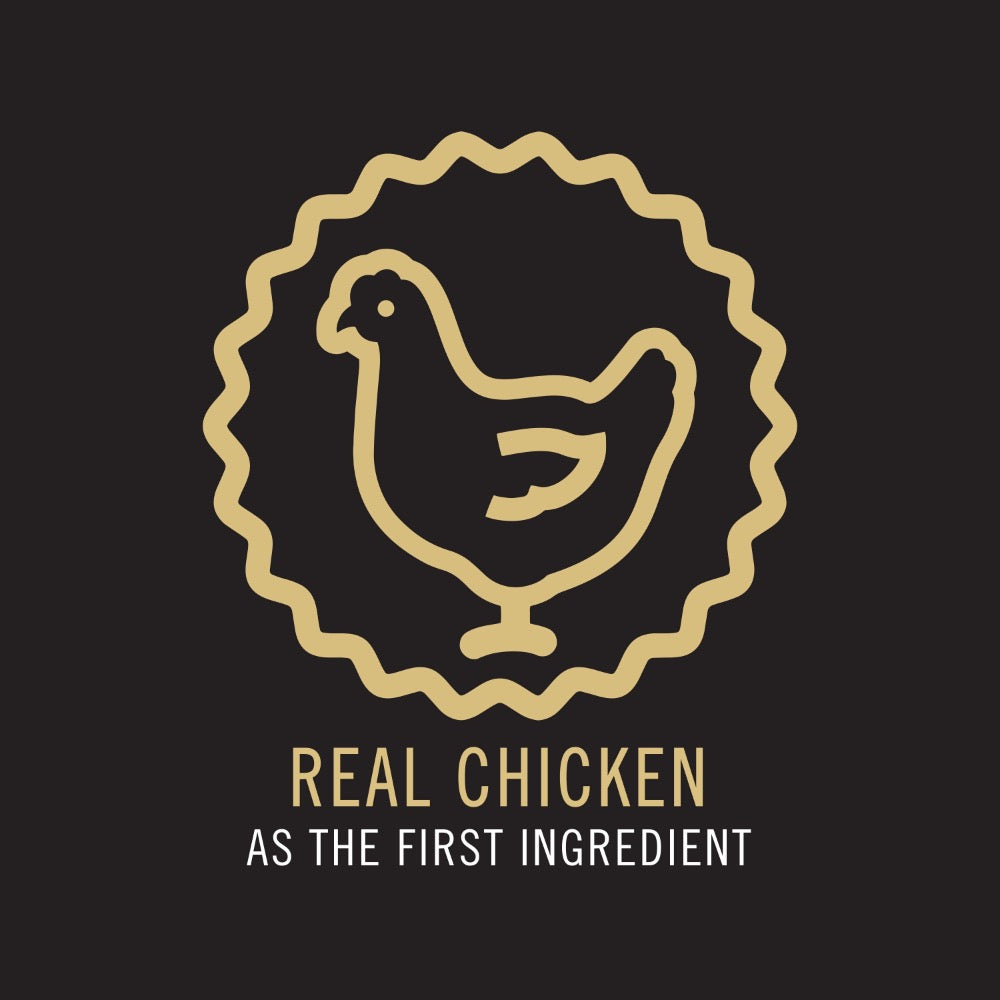 Pro Plan Kitten Chicken Dry Cat Food