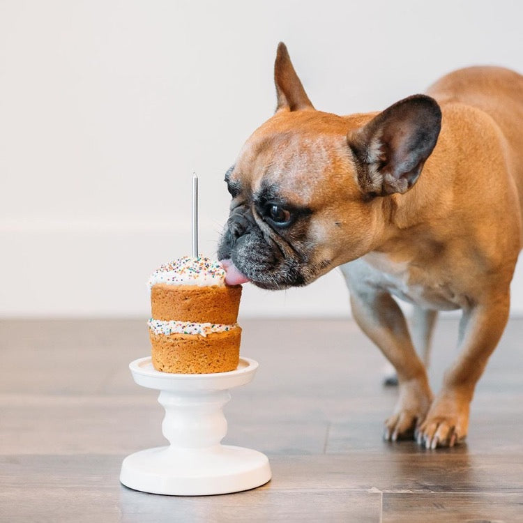 Puppy Cake Cheesecake & Cake Mixes For Dogs