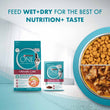 Purina One Adult Urinary Care Chicken in Gravy Pouch Cat Food 70g x 12