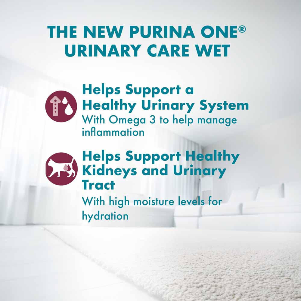 Purina One Adult Urinary Care Chicken in Gravy Pouch Cat Food 70g x 12