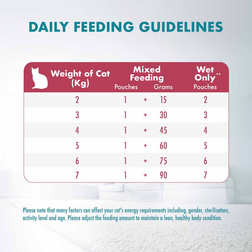 Purina One Adult Urinary Care Chicken in Gravy Pouch Cat Food 70g x 12