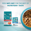Purina One Healthy Adult Ocean Fish in Gravy Pouch Cat Food 70g x 12