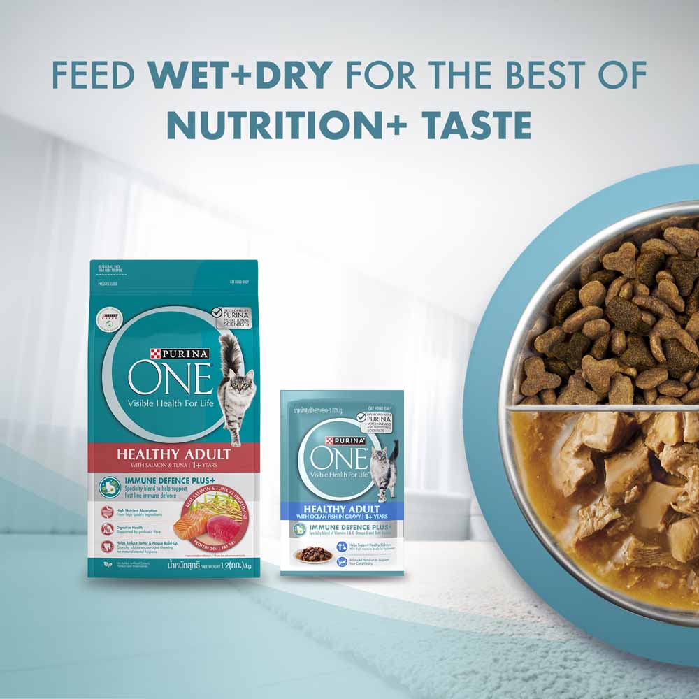 Purina One Healthy Adult Ocean Fish in Gravy Pouch Cat Food 70g x 12