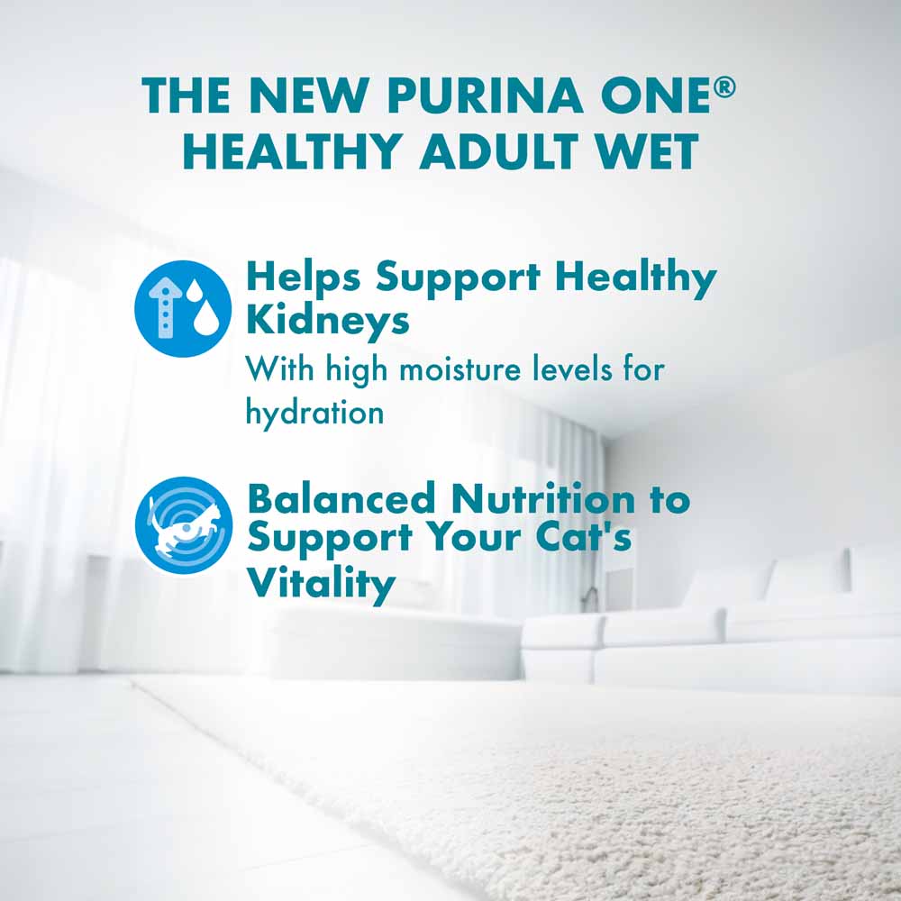 Purina One Healthy Adult Ocean Fish in Gravy Pouch Cat Food 70g x 12