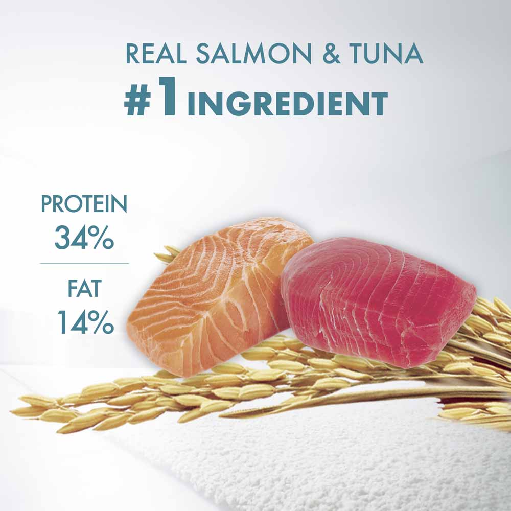 Purina One Healthy Adult Ocean Fish in Gravy Pouch Cat Food 70g x 12