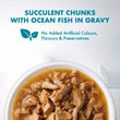 Purina One Healthy Adult Ocean Fish in Gravy Pouch Cat Food 70g x 12