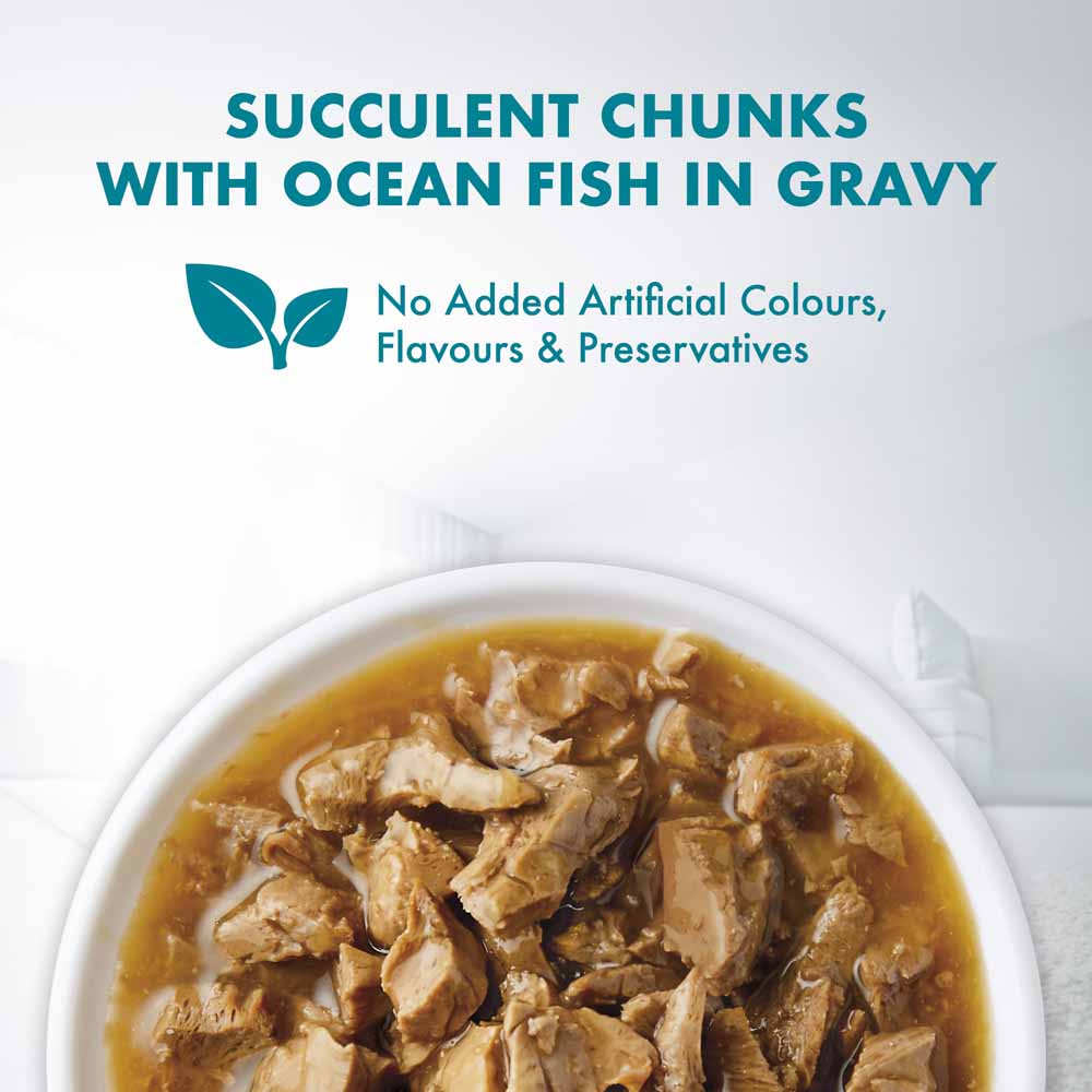 Purina One Healthy Adult Ocean Fish in Gravy Pouch Cat Food 70g x 12
