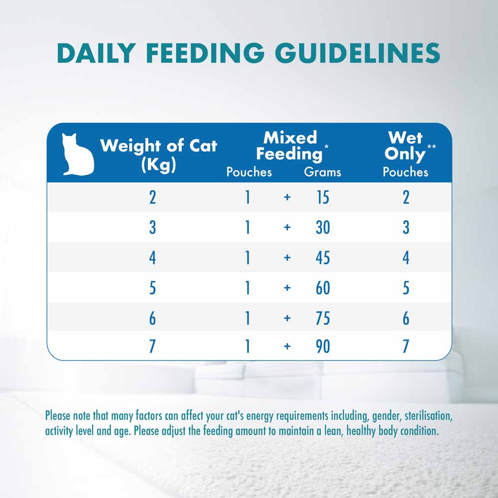 Purina One Healthy Adult Ocean Fish in Gravy Pouch Cat Food 70g x 12