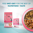 Purina One Healthy Kitten Chicken in Gravy Pouch Cat Food 70g x 12