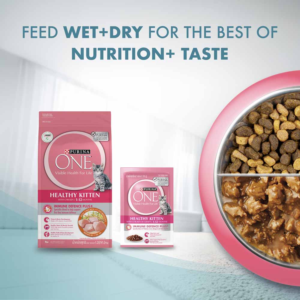 Purina One Healthy Kitten Chicken in Gravy Pouch Cat Food 70g x 12