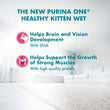Purina One Healthy Kitten Chicken in Gravy Pouch Cat Food 70g x 12