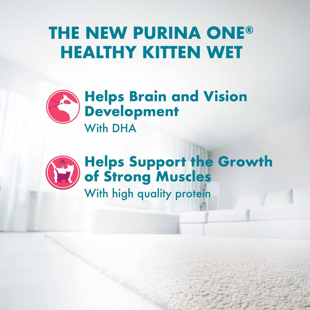 Purina One Healthy Kitten Chicken in Gravy Pouch Cat Food 70g x 12