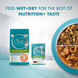 Purina One Indoor Advantage Chicken in Gravy Pouch Cat Food 70g x 12