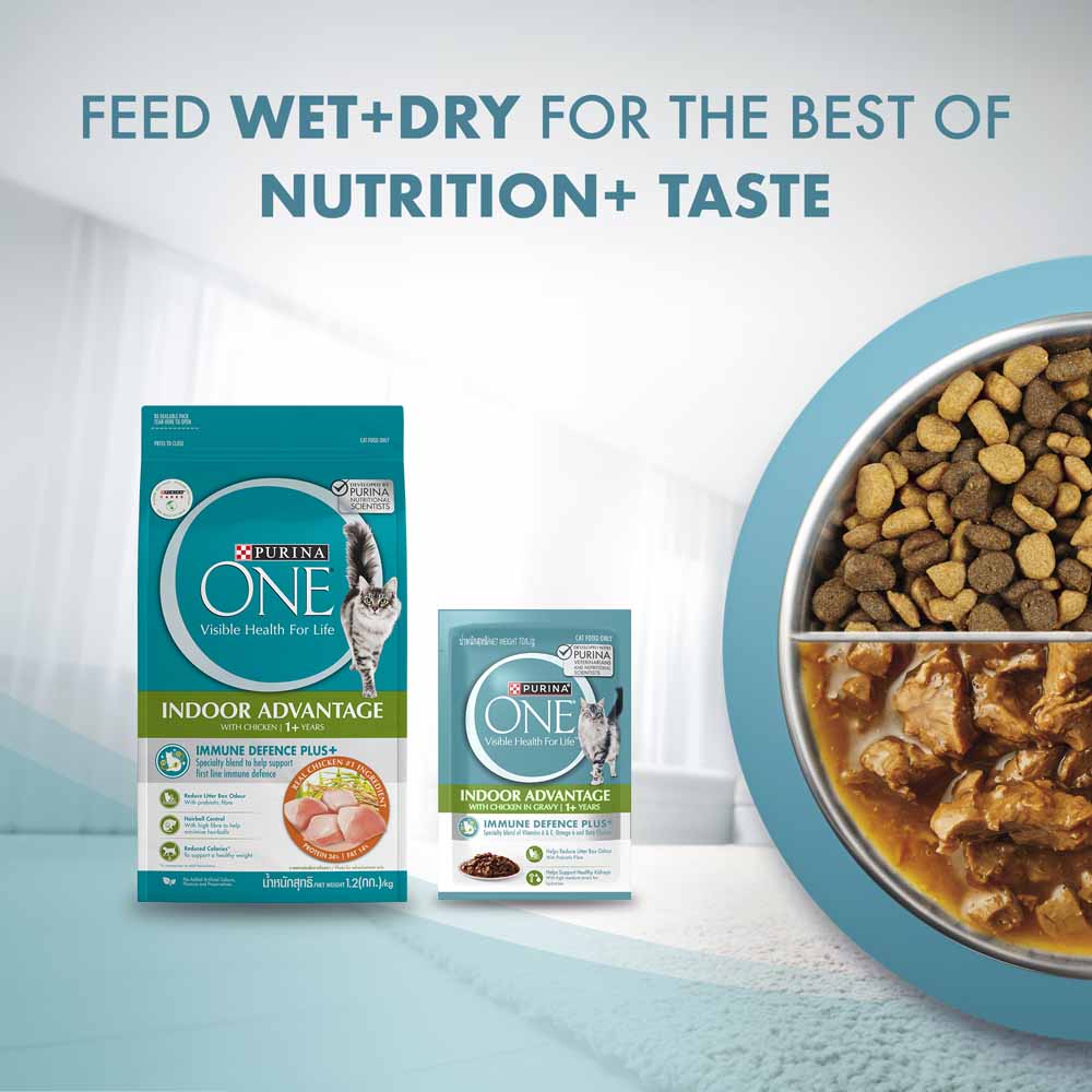 Purina One Indoor Advantage Chicken in Gravy Pouch Cat Food 70g x 12