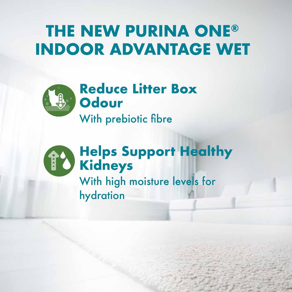 Purina One Indoor Advantage Chicken in Gravy Pouch Cat Food 70g x 12
