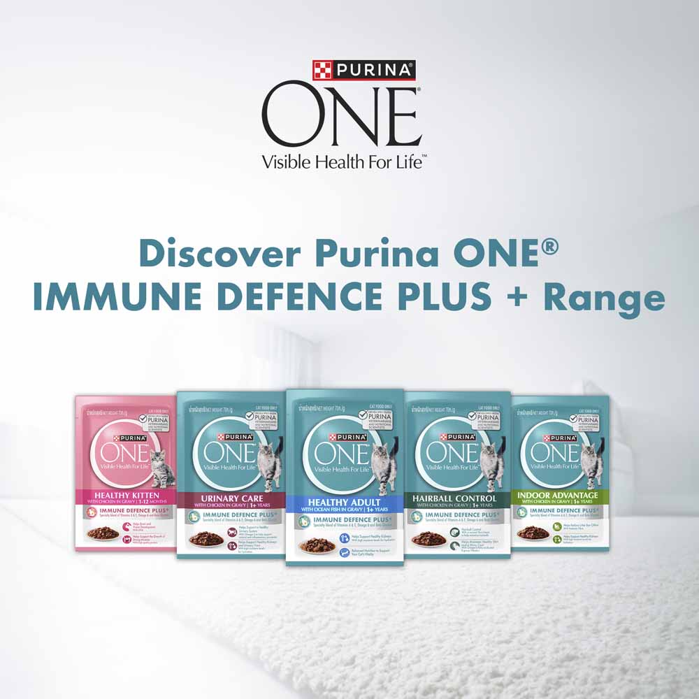 Purina One Healthy Adult Ocean Fish in Gravy Pouch Cat Food 70g x 12