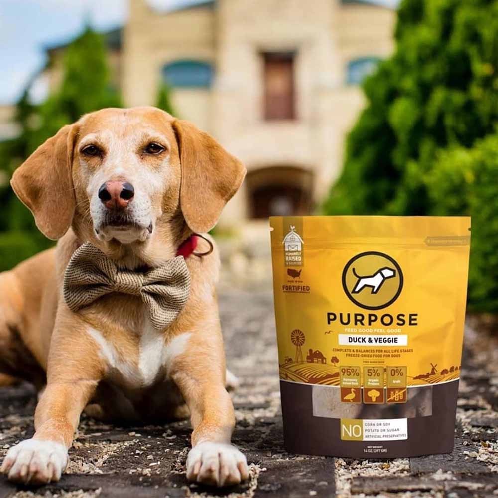Purpose Pet Food — Pet Food With A Purpose
