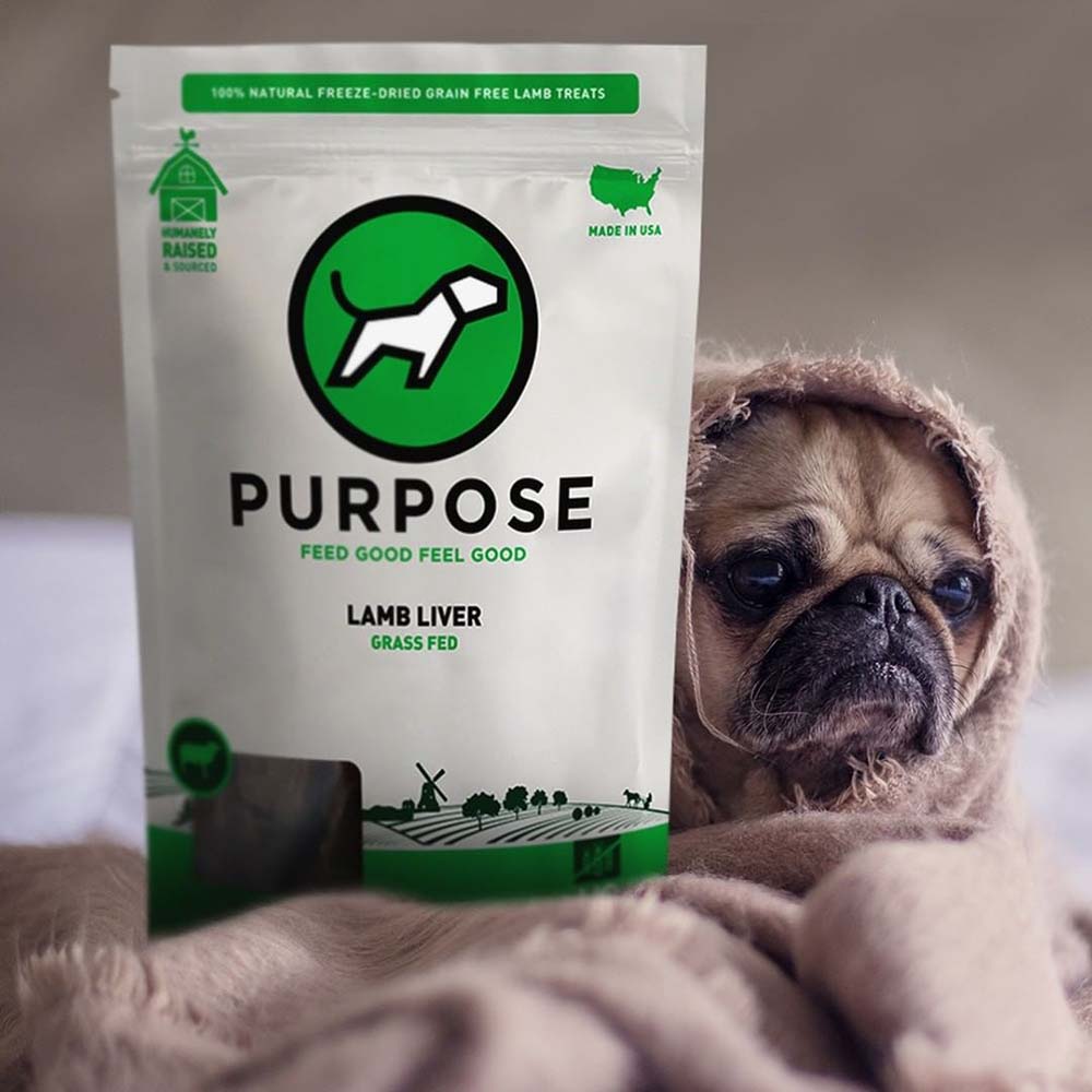 Purpose Freeze-Dried Treats For Cats & Dogs — Delicious & Wholesome Single-Ingredient Treats!