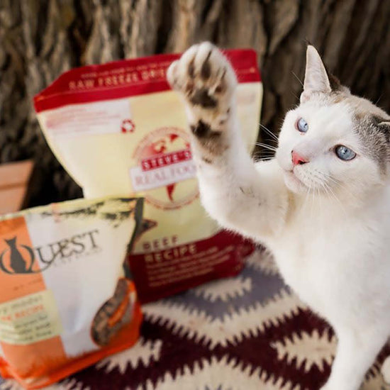 Quest FreezeDried Cat Food Kohepets