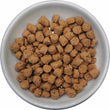'BUNDLE DEAL': Quest Prey Model White Fish Recipe Grain-Free Freeze-Dried Raw Cat Food 10oz