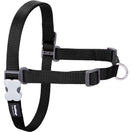 Red Dingo No-Pull Dog Harness (Black)