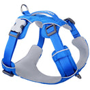 Red Dingo Sport Harness Electric Blue
