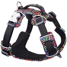 Red Dingo Sport Harness Squiggles Black