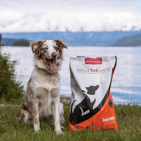 Riplee’s Ranch Grain-Free Pet Food — Quality Canadian Nutrition!